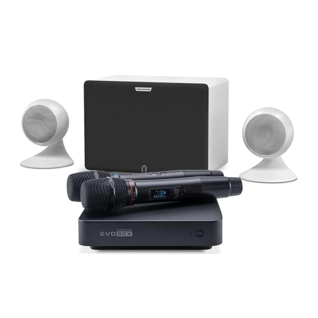 караоке-комплект EVOBOX Classic + EvoSound Sphere 2.1 в Ейске