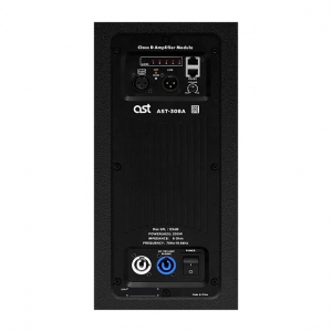 Активная акустическая система AST-308A в Ейске