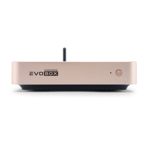 EVOBOX Classic караоке-система для дома в Ейске