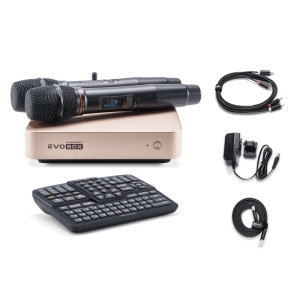 EVOBOX Classic караоке-система для дома в Ейске